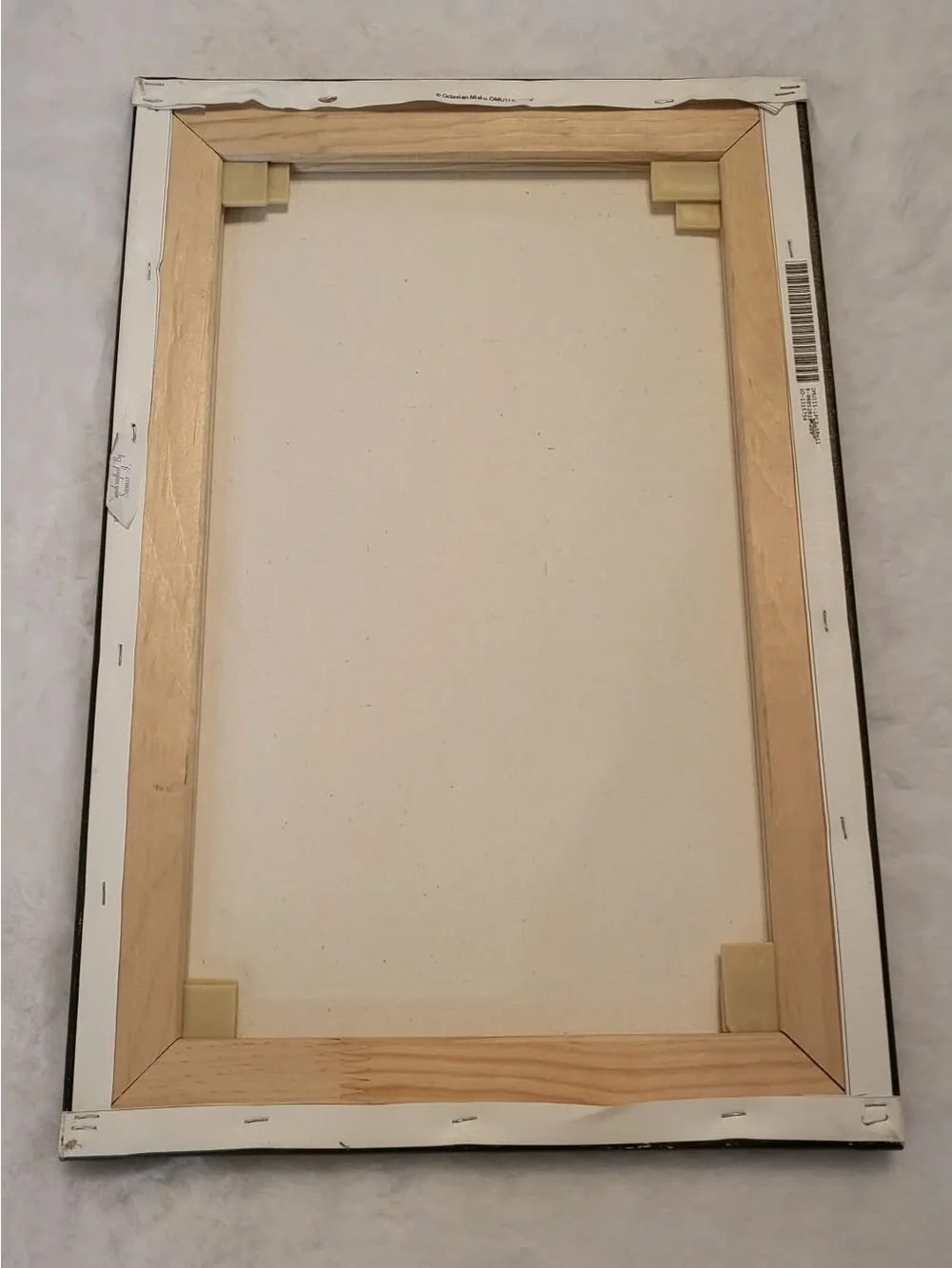 Monopoly Man Canvas Frame Art, Money Rain Wall Art 12x18